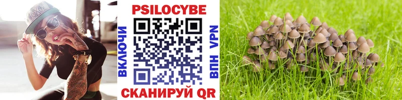 Псилоцибиновые грибы прущие грибы Палласовка